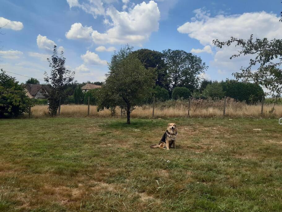 Gite De La P'Tite Rainette Villa Grosne Exterior foto